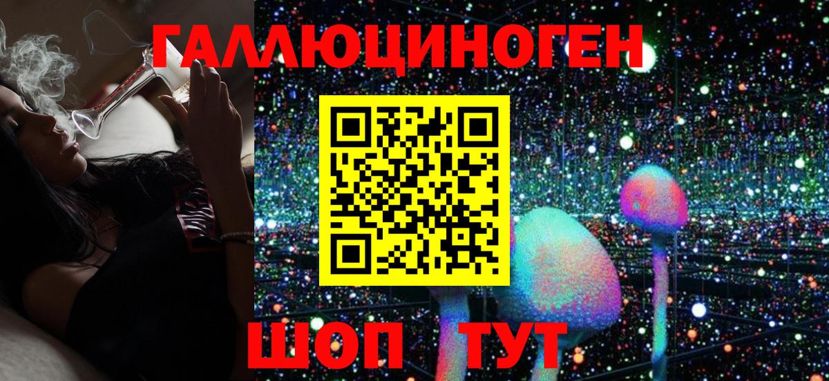 Галлюциногенные грибы Psilocybe Петропавловск-Камчатский