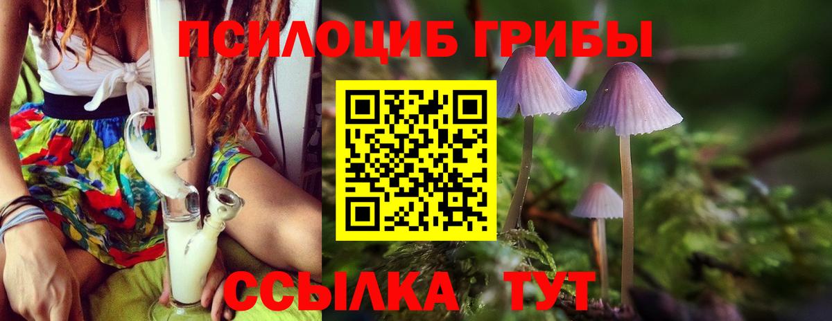 Петропавловск-Камчатский  Галлюциногенные грибы мицелий  Вход с VPN 